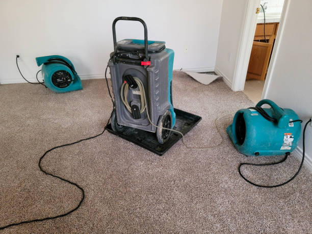 Best Sewage cleanup and water damage restoration  in Bountiful, UT