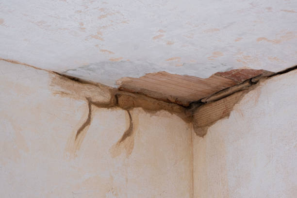 Best Residential water damage restoration  in Bountiful, UT