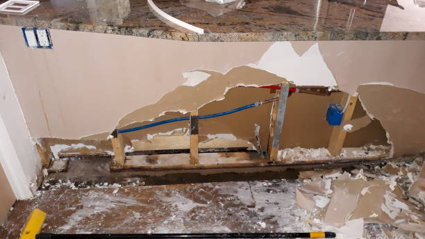 Best Water damage restoration near me  in Bountiful, UT