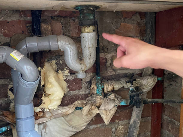 Best Flooded house restoration  in Bountiful, UT