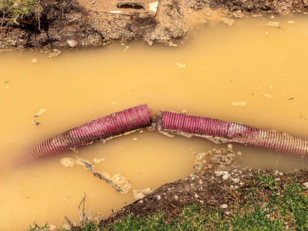 Best 24-hour water damage restoration  in Bountiful, UT