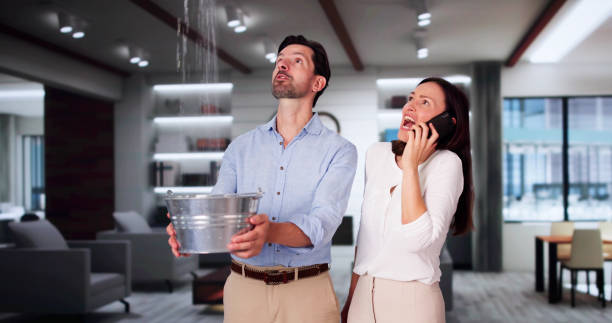 Best Water damage restoration near me  in Bountiful, UT