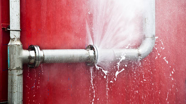 Best Professional water damage repair  in Bountiful, UT